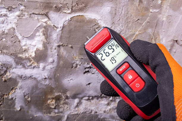 Certified Mold Removal in Manorhaven, NY