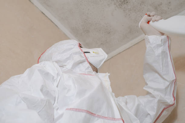 Best Emergency Mold Removal  in Manorhaven, NY